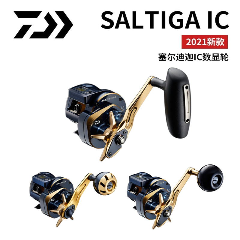 21 Japanische DAIWA Daiwa SALT – Baitcasting Reel Bewertung und Preis